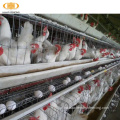 Haio High Security Poultry Gage